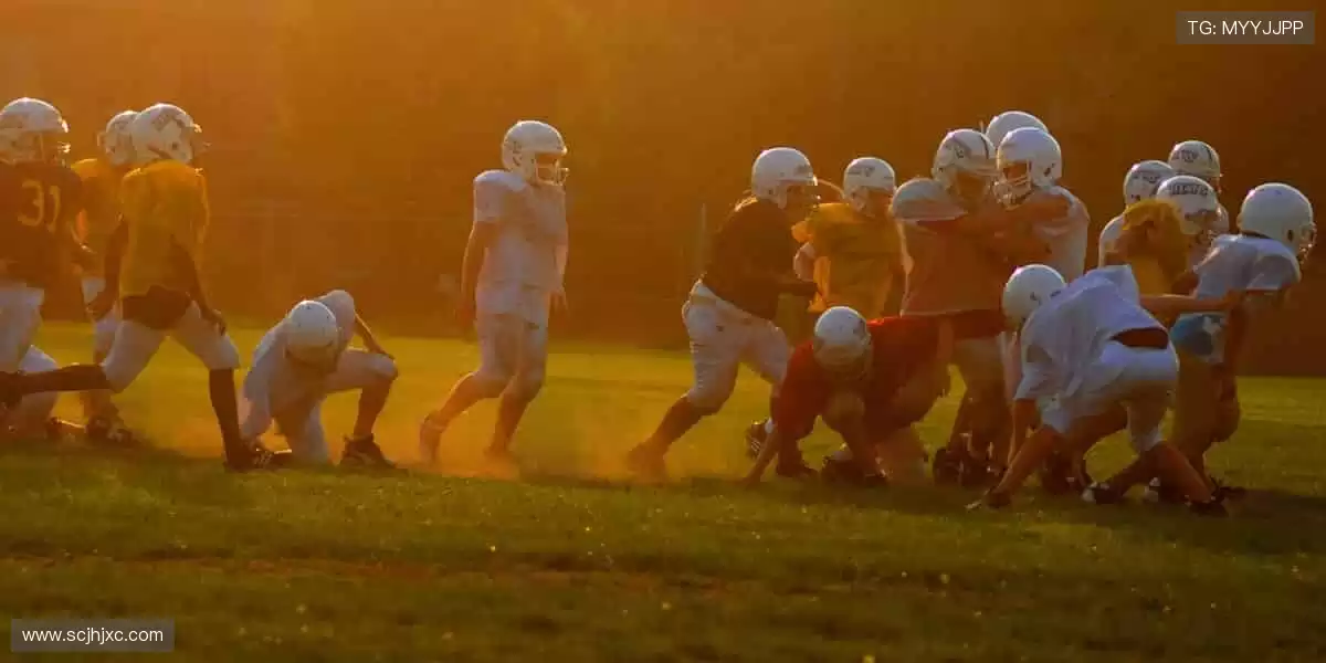 🎉 冠军之路,与你同在,